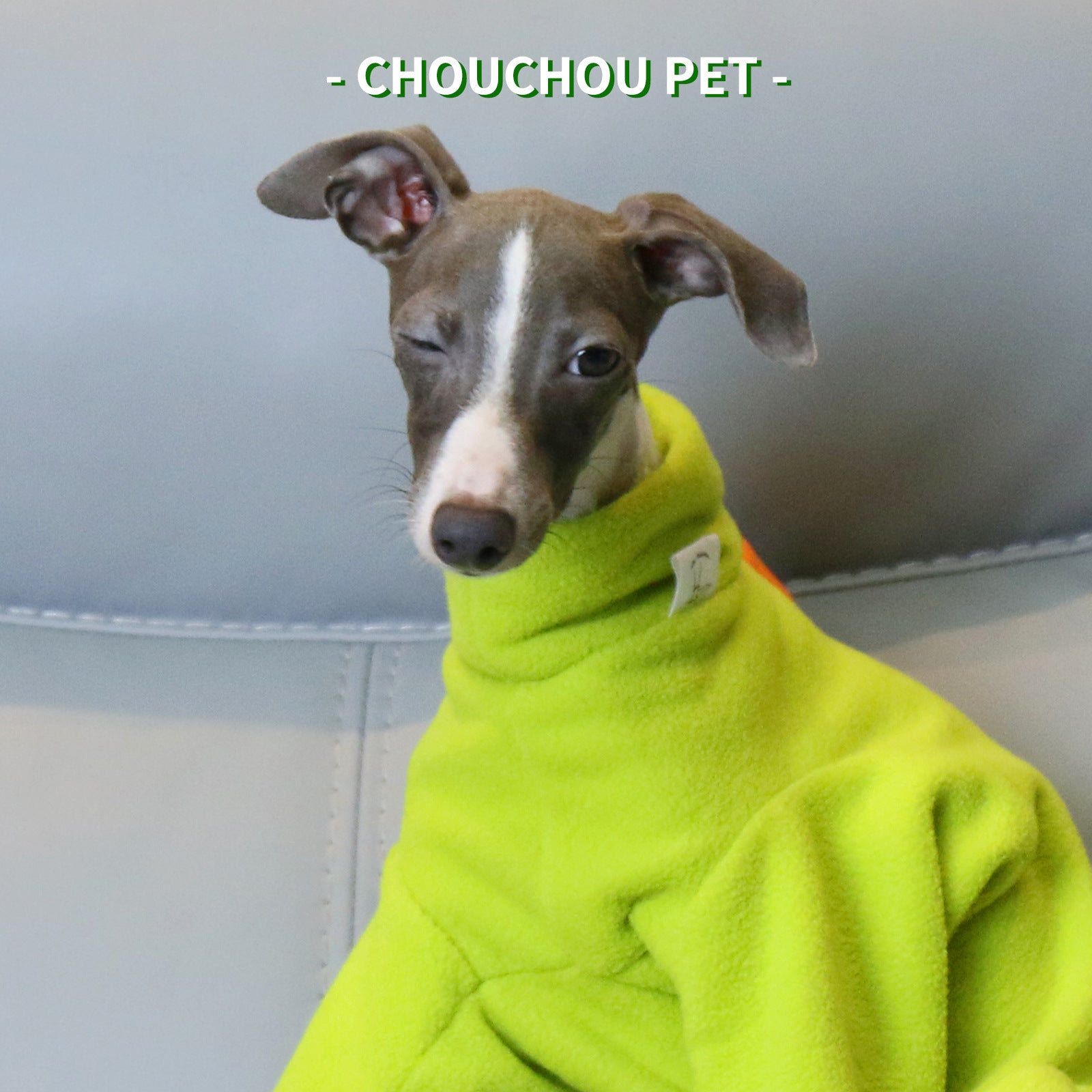 L Adorable Dinosaur Fleece Dog Jumpsuit - Warm Winter Pajamas for Whippets & Italian Greyhounds