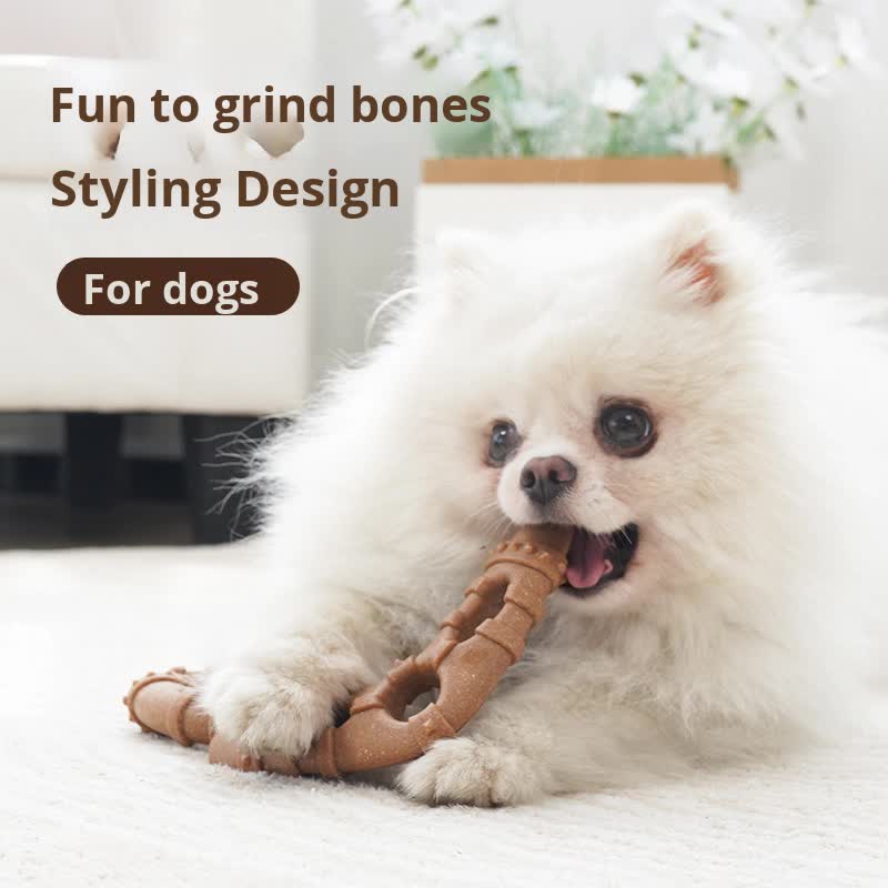 Wooden ring Durable Dog Chew Toy for Dental Health - Tough, Non-Toxic Teething Bone for Small & Medium Dogs