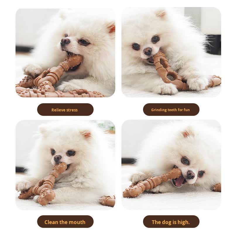 Trigeminal bone Durable Dog Chew Toy for Dental Health - Tough, Non-Toxic Teething Bone for Small & Medium Dogs