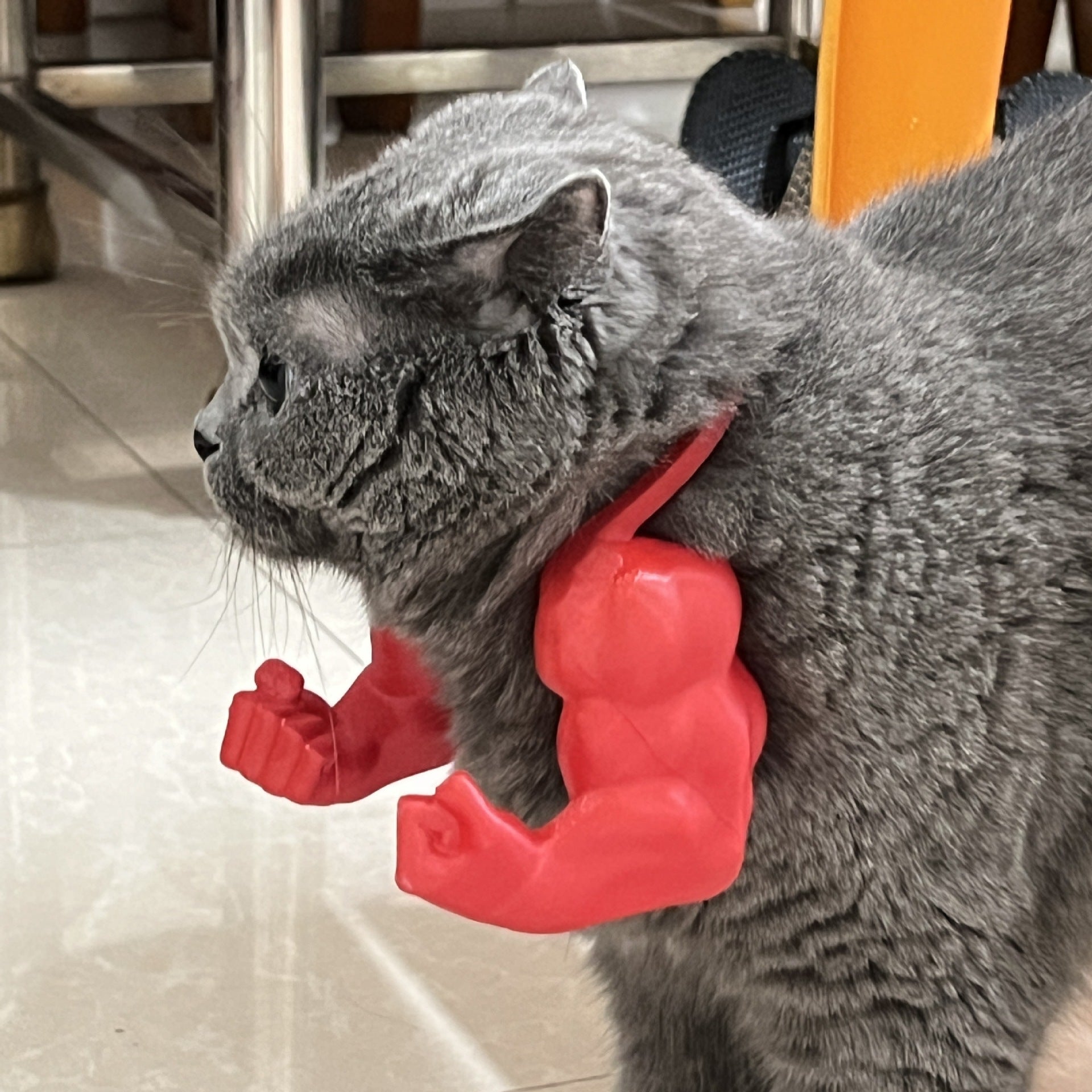 2pc Hilarious Muscle Arm Pet Costume Prop - Funny Novelty Arms for Cats & Small Dogs(red)