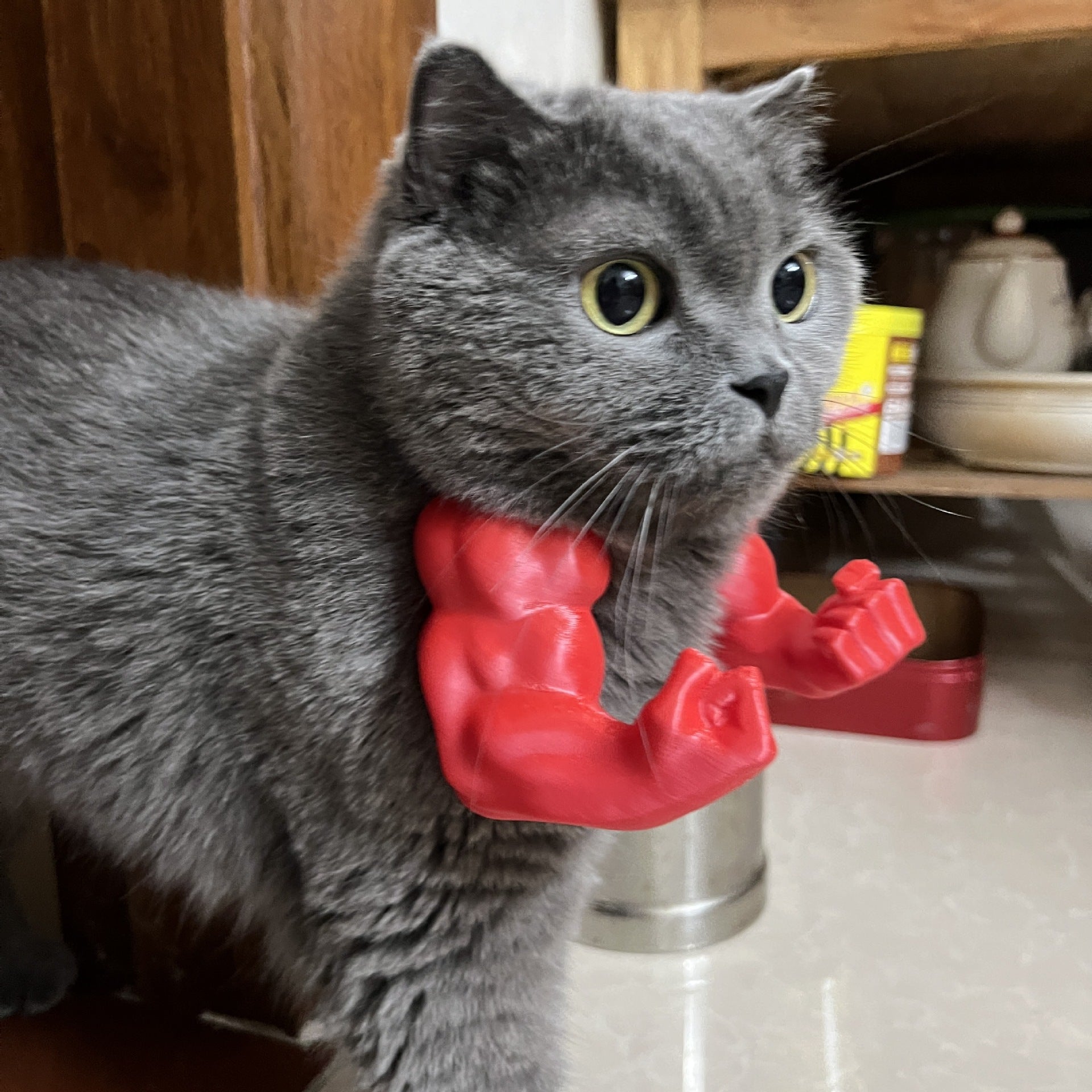 2pc Hilarious Muscle Arm Pet Costume Prop - Funny Novelty Arms for Cats & Small Dogs(red)