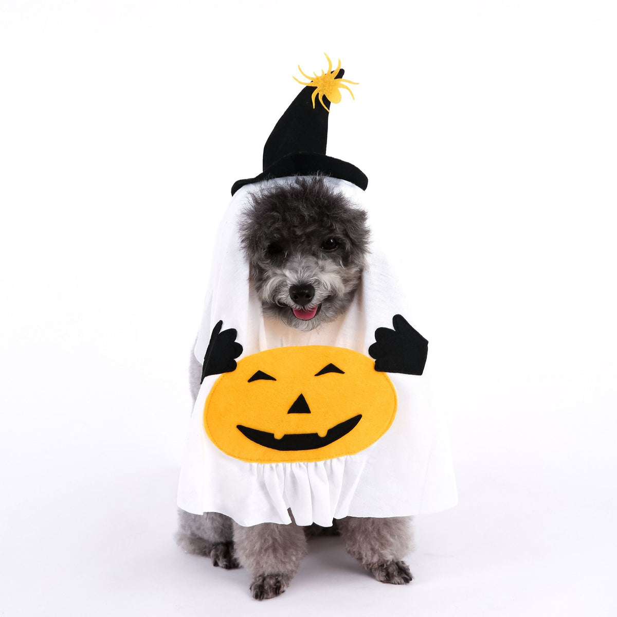 M Size Halloween Pumpkin Ghost Dog Costume - Polyester Pet Fancy Dress with Witch Hat and Spider Detail, Lightweight for Small Dogs and Cats