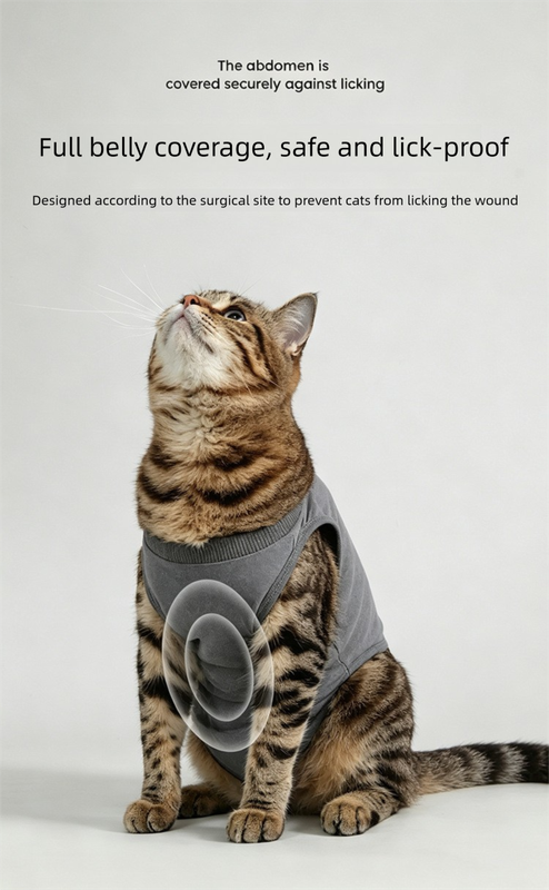 Pink Pet Recovery Suit M Size (Approx.2-4 kg) - Modal Stretch Post Surgery Bodysuit, Breathable Abdominal Coverage and Anti Licking Clothing for Cats and Dogs