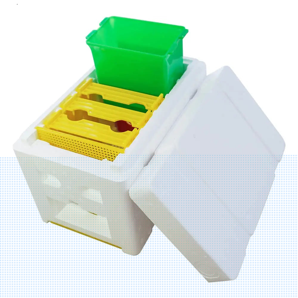 Mini Mating Box Queen Bee Rearing Plastic Styrene Foam Hive Harvest Copulation
