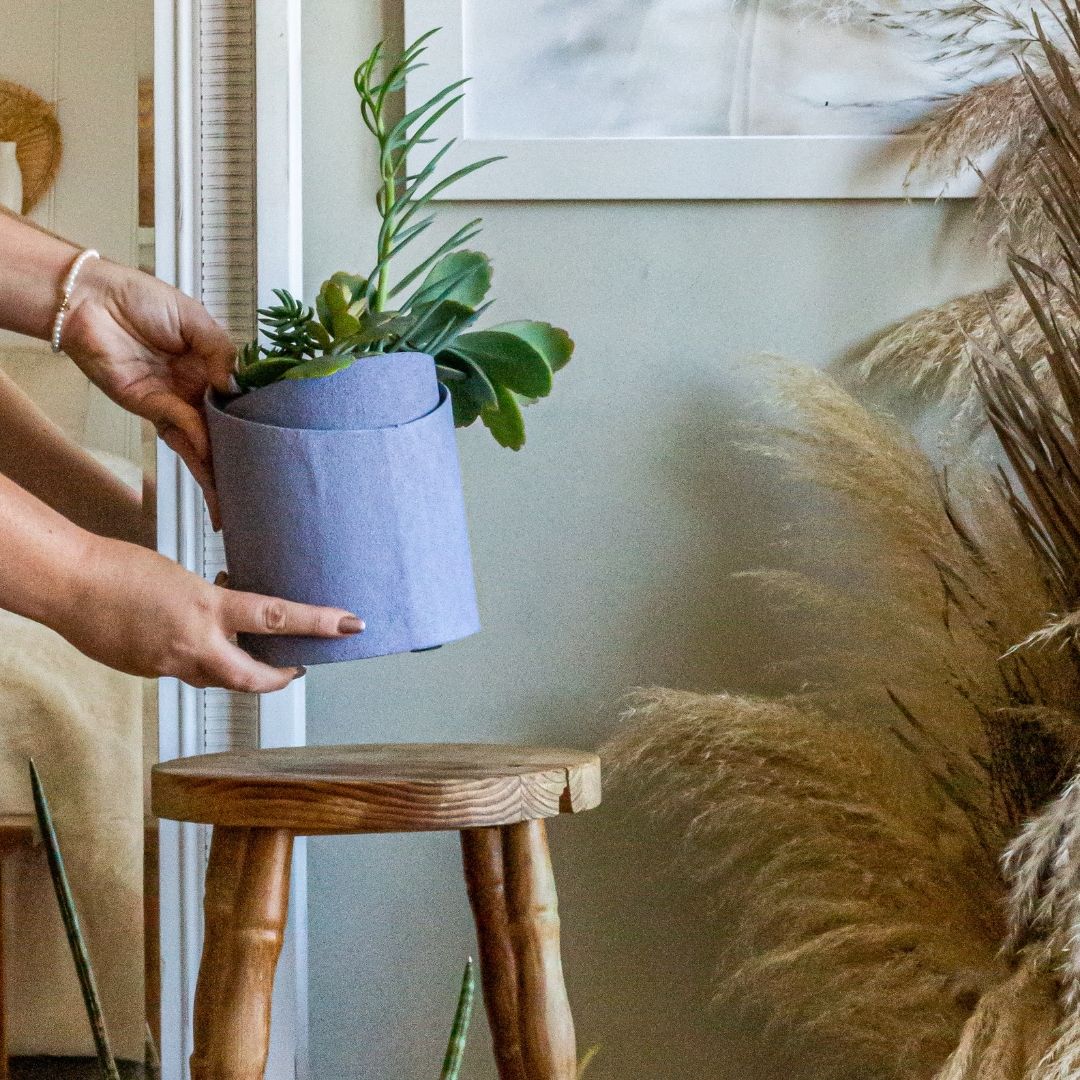 Tree Stripes Double Pot - Amalfi Purple (Small)