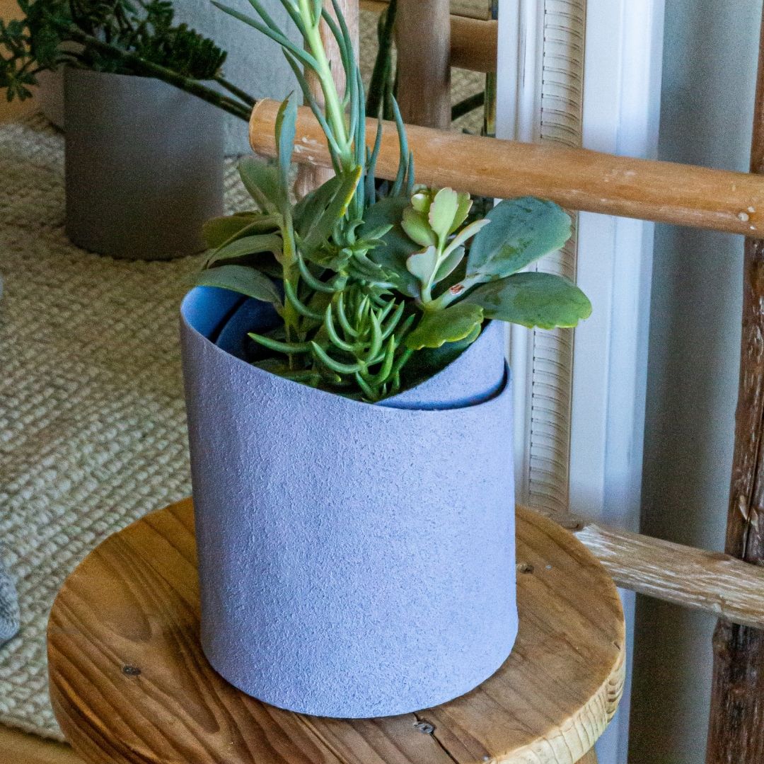 Tree Stripes Double Pot - Amalfi Purple (Small)