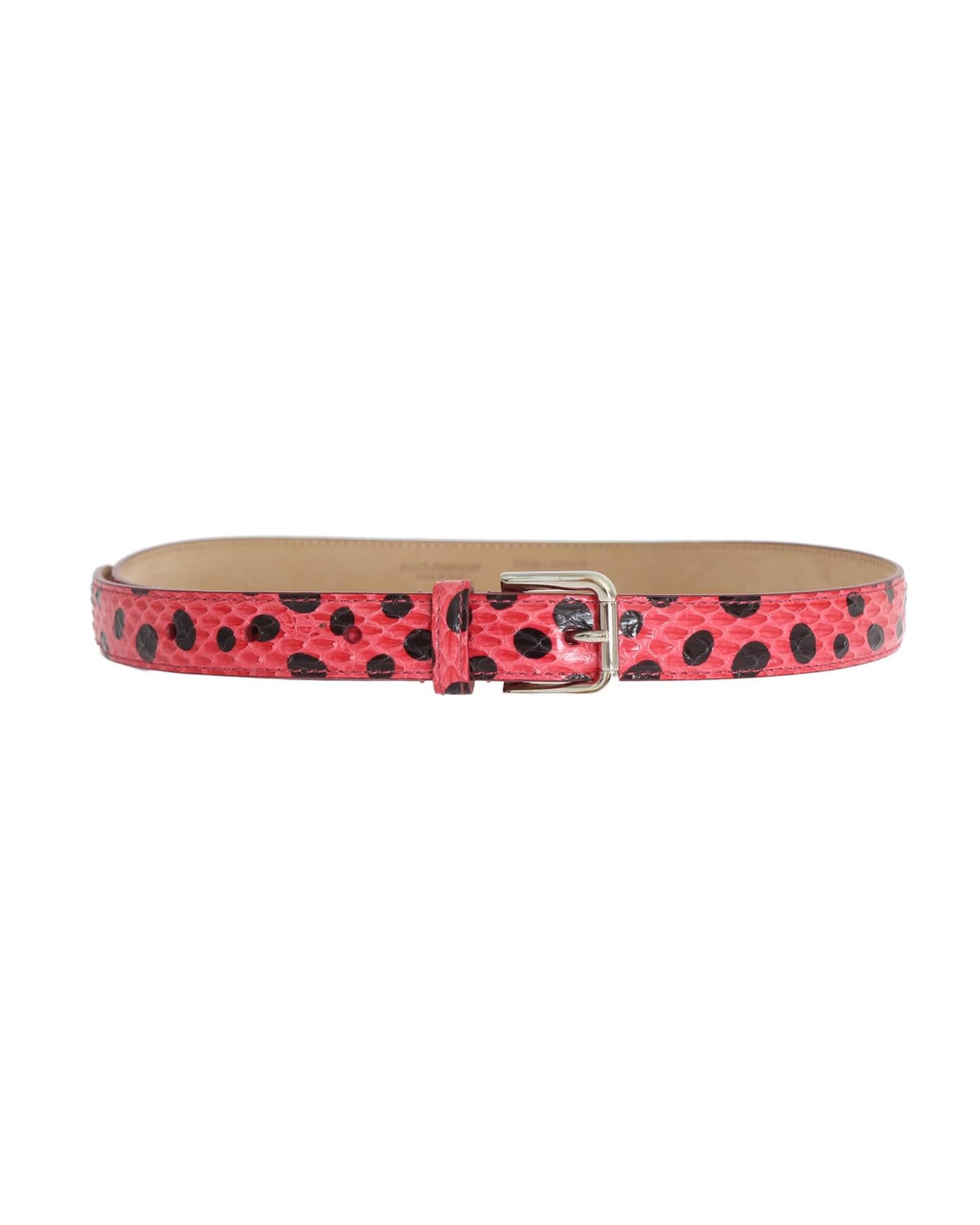 Authentic Dolce &amp; Gabbana Womens Snakeskin Belt with Silver Buckle 80 cm Women