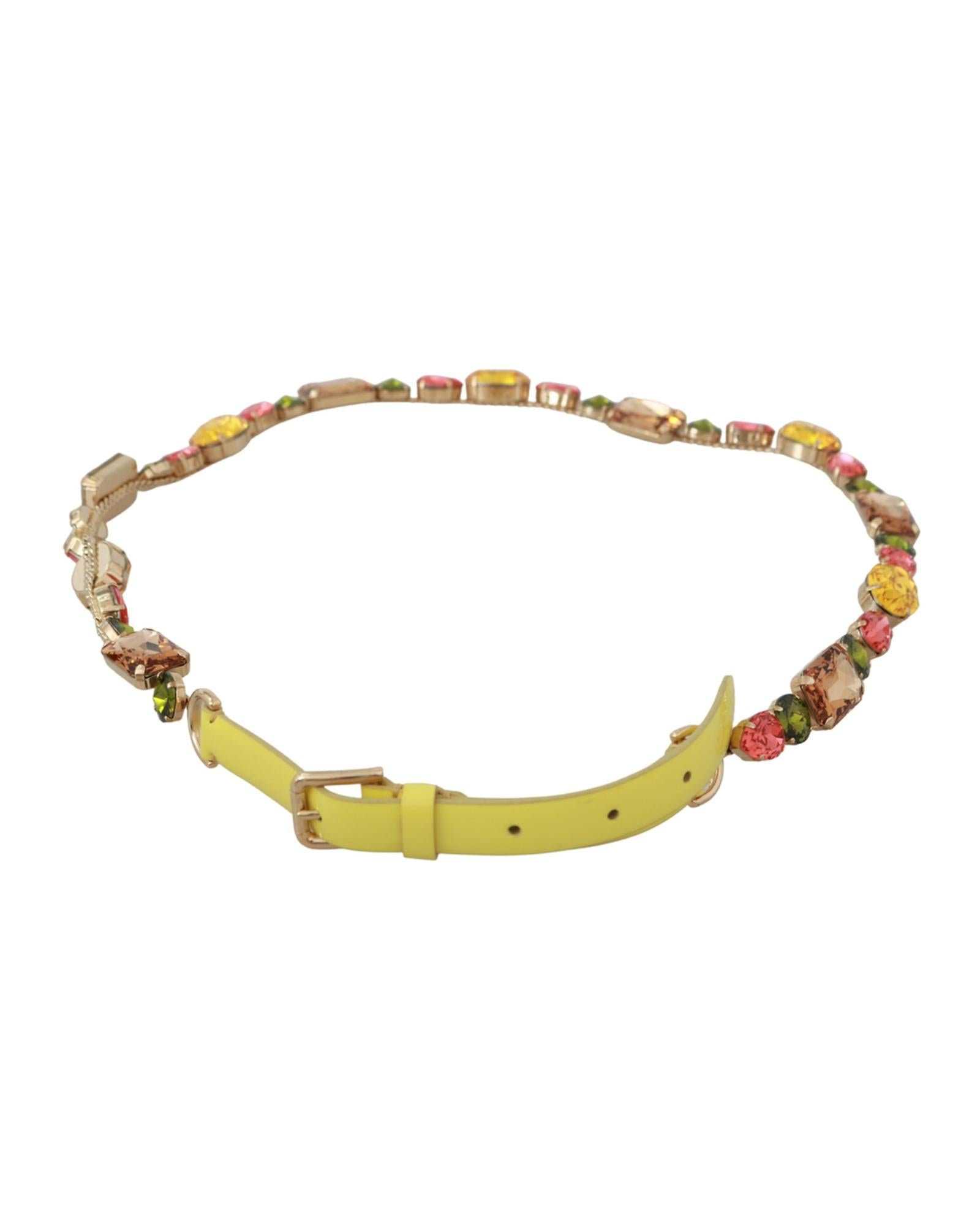 Brand New Dolce &amp; Gabbana Crystal Belt 70 cm Women